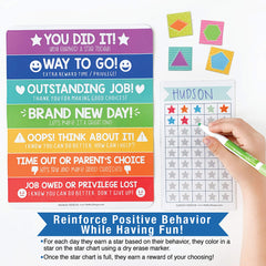 Magnetic Behavior Chart Bundle