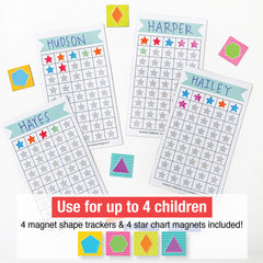 Magnetic Behavior Chart Bundle